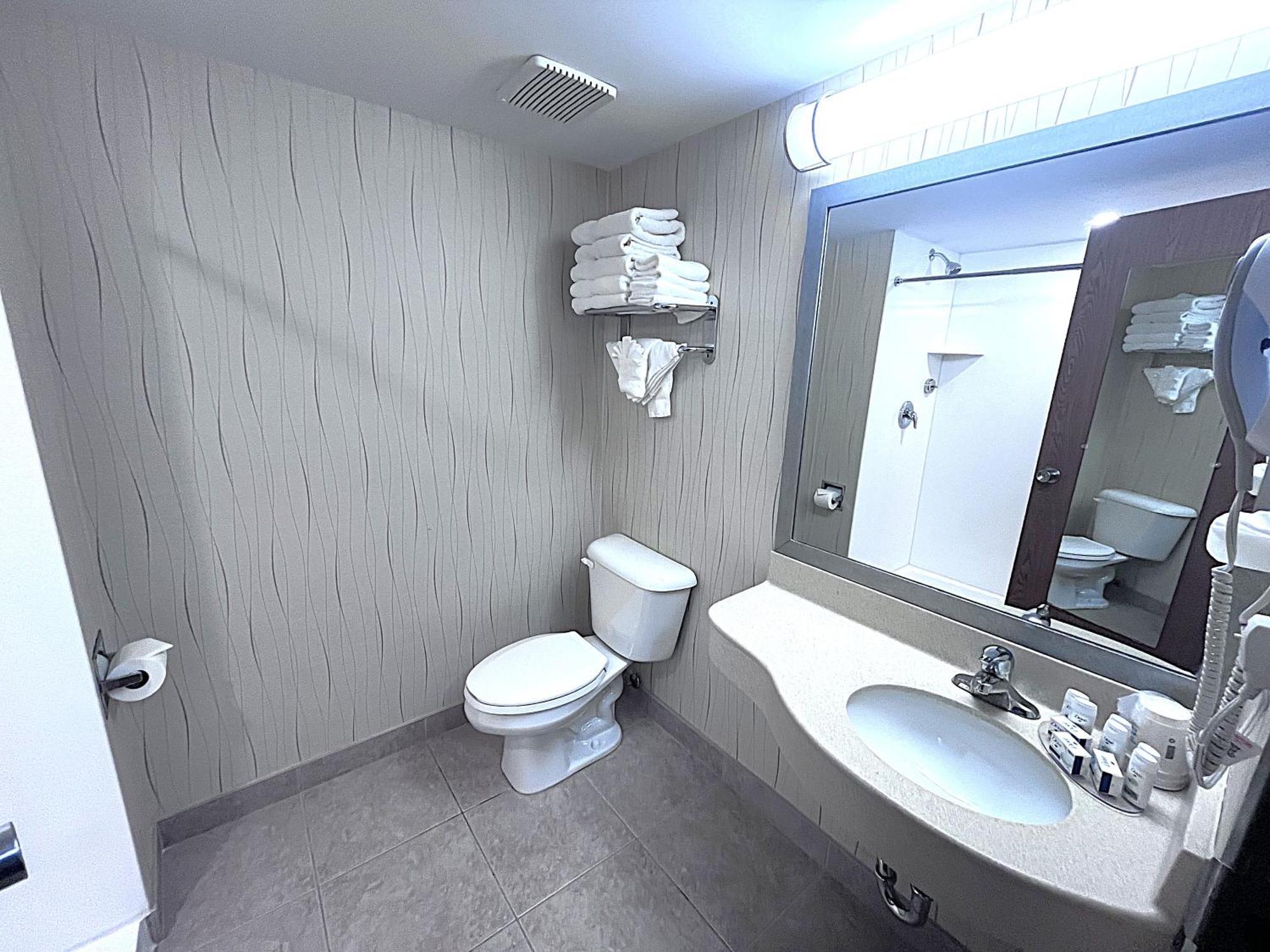 Howard Johnson Plaza By Wyndham By The Falls Hotel 3*